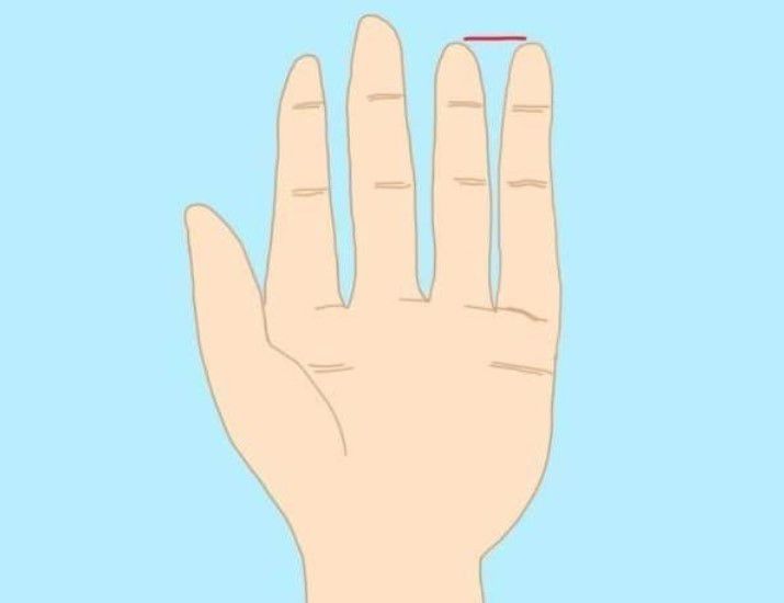 5. Jari kelingking panjangnya sejajar dengan jari manis