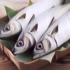 Siapa Sangka, 5 Ikan Ini Punya Gizi Tinggi Meski Harganya Murah Meriah