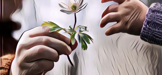 Bahagia Emang Sederhana Kok, Mau? Ikutin Cara-caranya Nih ...