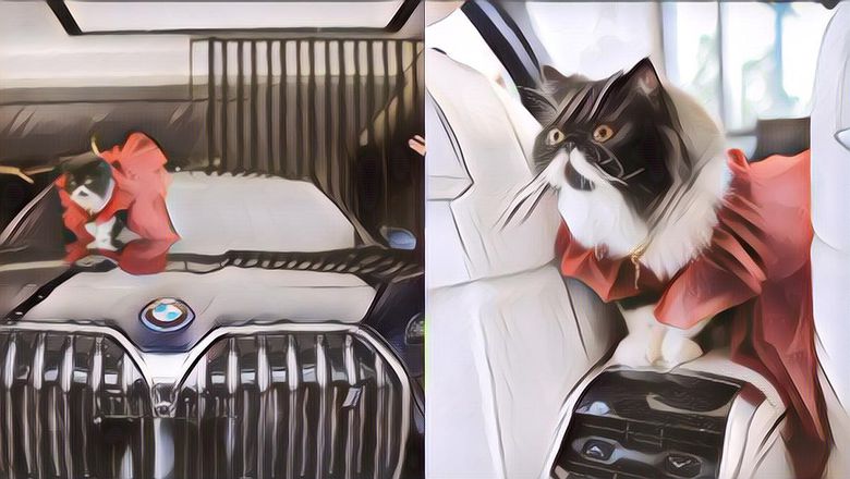 Bikin Heboh, Pengusaha Hijab Ini Beri Hadiah Mobil BMW Untuk Kucingnya!