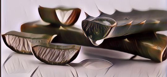 Kulit Jadi Lebih Lembab, Ini 3 Rekomendasi Skincare Aloe Vera Terbaik