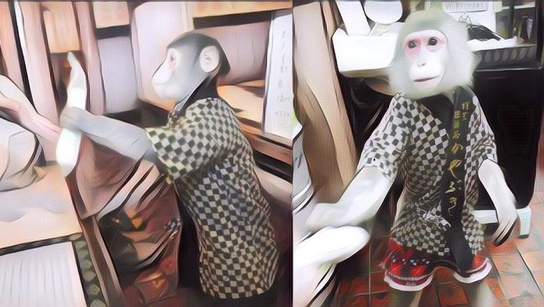 Unik Banget! Restoran Ini Sudah 29 Tahun Pekerjakan Monyet Jadi Pelayan, Gini Tugas Dan Bayarannya