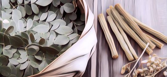 Miliki Banyak Kandungan yang Penting, Ini 6 Manfaat Luar Biasa Daun Kelor bagi Kesehatan Tubuh