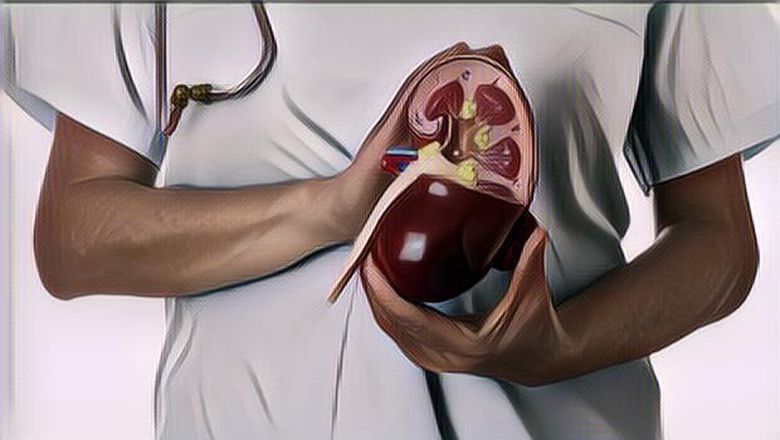 Ramai Soal Cangkok Babi ke Tubuh Manusia, Ini Fakta Selengkapnya