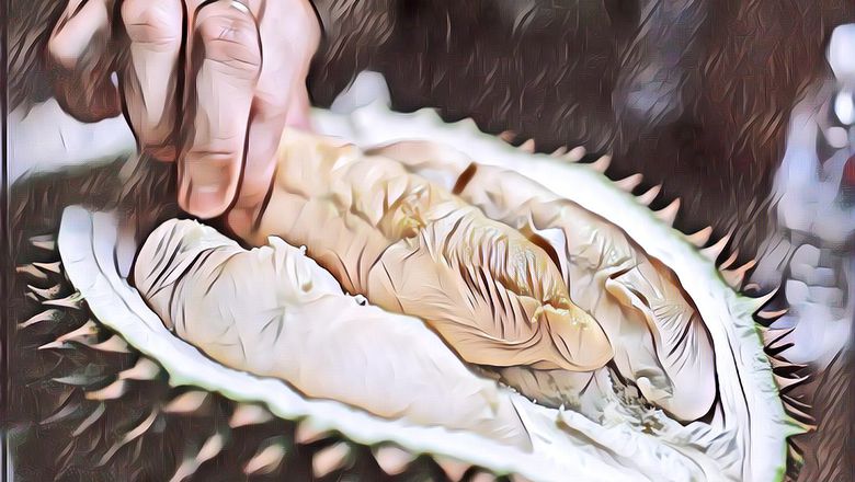 Durian di Singapura Dibanderol Rp 700 Ribu per Kg: Laku Gak Sih?