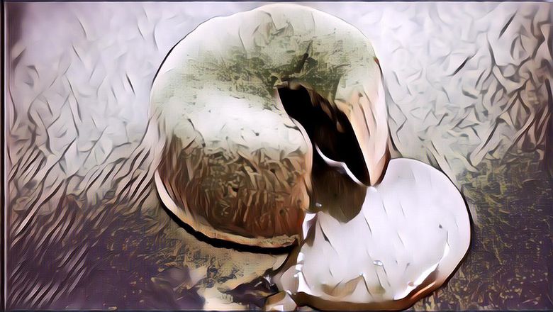 Resep Matcha Lava Cake, Dessert Creamy yang Nikmatnya Bikin Mupeng