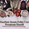 Asam Folat Sangat Penting Dikonsumsi Calon Ibu Agar Tumbuh Kembang Anak Berjalan Baik