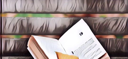 Ketahui Kaidah Struktur Cerpen Sebelum Mulai Menulis Ceritamu Sendiri