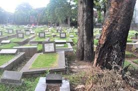 1. Ada pohon kembar, yang konon sebagai tempat bersemayamnya kuntilanak