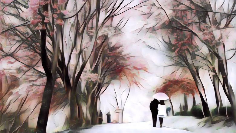 Sumba Punya Bunga Mirip Sakura, Suasana Jadi Seperti di Jepang