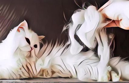 8 Penyebab Bulu Kucing Rontok Parah, Apa Saja?