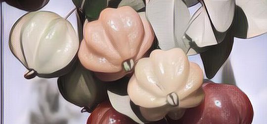 Jarang Diketahui, Ini Daftar 11 Buah Unik Asli Indonesia Yang Langka dan Terancam Punah