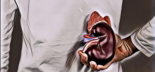 Wanita Ini Mengeluh Perut Besar Seperti Hamil, Ternyata Kena Kista Ginjal