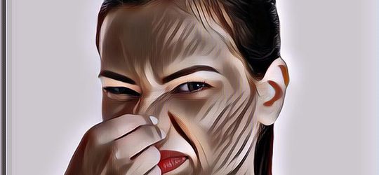 Kentut Cewek Disebut-sebut Lebih Bau daripada Cowok, Begini Kata Ahli ...