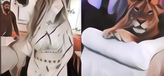 Seorang Influencer di Pakistan Bawa Singa ke Pesta, Aksinya Kemudian Mendatangkan Banyak Kecaman