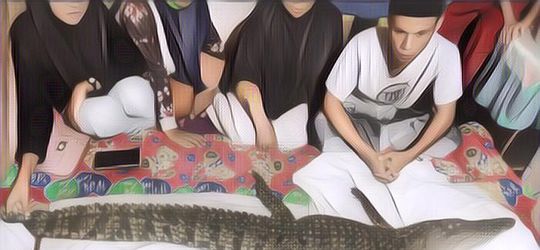 Heboh Buaya Diyakini Kembaran Manusia, Mitos Bugis-Makassar Jadi Asal-usulnya