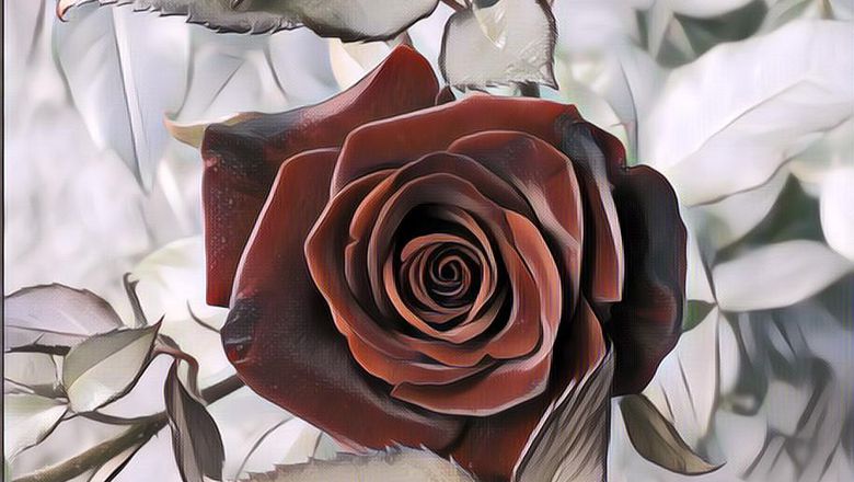 7 Tanaman Ajaib yang Bikin Jin dan Setan Takut Juga Perlindungan Dari Gangguan Ilmu Hitam