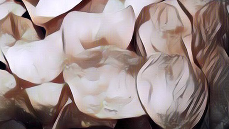 Lawak Abis! Wanita Ini Coba Goreng Keripik Kaca Tapi Hasilnya Malah Begini