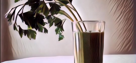 Khasiat Daun Seledri untuk Diet, Mau Kurus Nggak Hanya Mitos