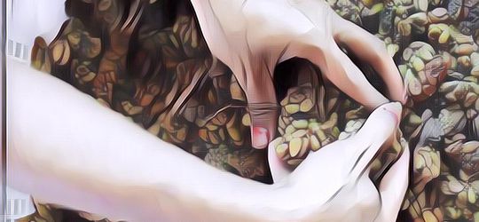 Seorang Ahli Sebut 95% Kopi Luwak di Indonesia Kemungkinan Tipu-tipu, Simak Alasannya ...