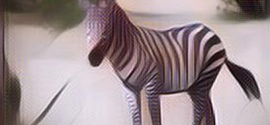 Ternyata, Ini Alasan Kenapa Hewan Zebra Gak Bisa Ditunggangi Seperti Kuda