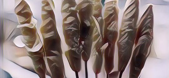 Resep Telur Gulung Mudah dan Nagih, Nggak Perlu Jajan di Luar!