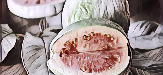 Ramuan Alami Daun Jambu Biji untuk Kulit Berniyak, Berjerawat dan Iritasi