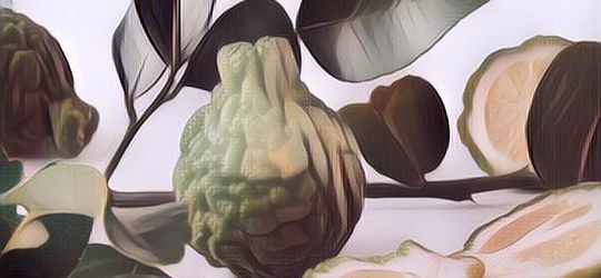 Gak Cuma Buat Masak, Ternyata Daun Jeruk Purut Punya Beberapa Manfaat Lain yang Fantastis!