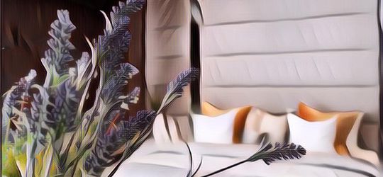 Tips Ampuh Bikin Kamar Kost Kamu Selalu Wangi Dan Bebas Bau Apek