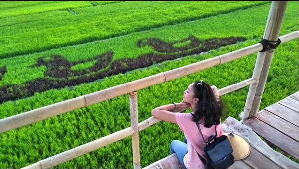 2. Konsepnya bayar Seikhlasnya