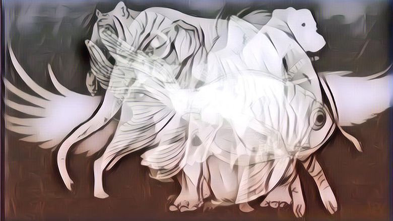 Gambar Hewan Apa yang Pertama Kamu Lihat? Gini Artinya