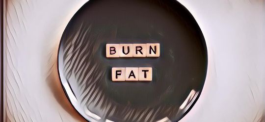 Aneka Makanan Pembakar Lemak, Bisa Bantu Kontrol Berat Badan Selepas Lebaran