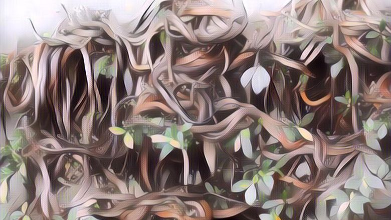 Terlalu Mengerikan, Ini 5 Tempat Terlarang untuk Dikunjungi di Dunia