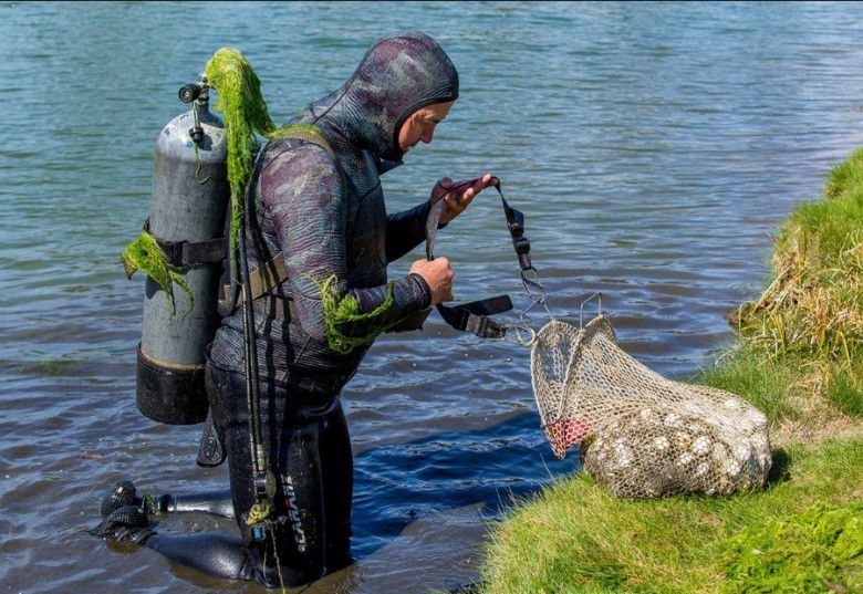 Penyelam di arena golf