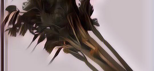 Manfaat Daun Seledri Bagi Kulit, Kamu Wajib Coba