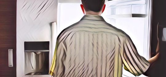 Lelaki Jepang Bingung Makanannya Selalu Hilang di Kulkas, Ternyata Pelakunya Tinggal di Lemari Rumah, Hantu?