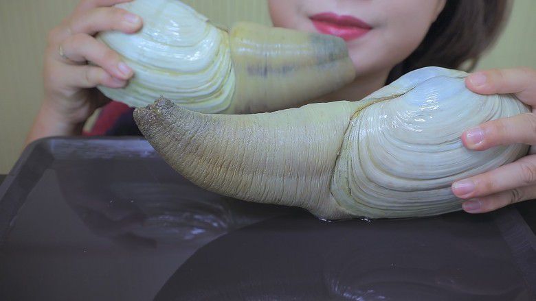 4. Kerang tak bisa merasakan sakit