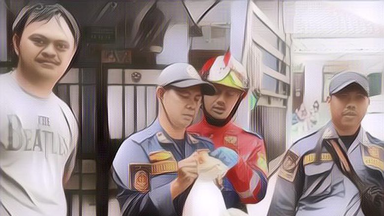 Terlalu Ganas, Kucing Oyen Ditangkap karena Lukai Warga dan Bikin Resah di Bogor