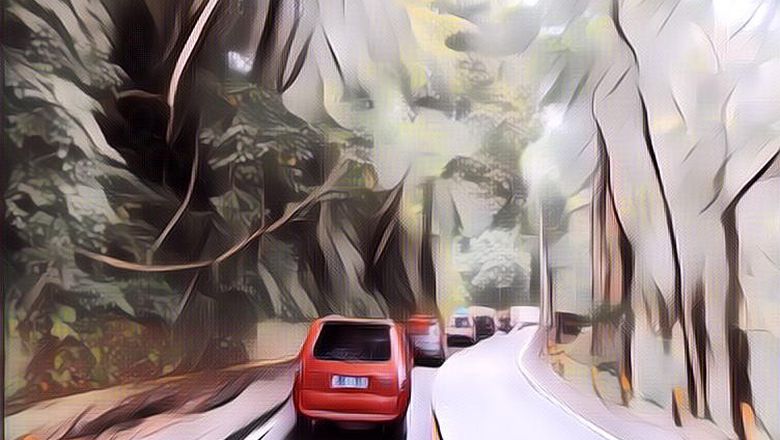 Hutan Angker Banyuwangi Bukan Hanya Alas Purwo, Alas Gumitir Tak Kalah Menyeramkan