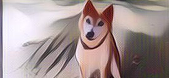 5 Fakta tentang Anjing yang Orang Belum Tahu!