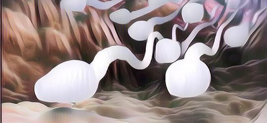 Pria Wajib Tahu! Ini Dia Penyebab Kualitas Sperma Buruk