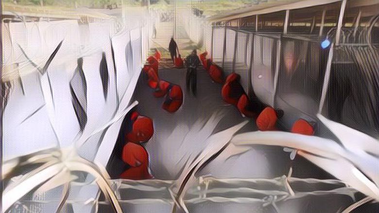 Penjara Guantanamo Penjara Paling Kejam di Dunia, Yuk Cari Tahu Faktanya