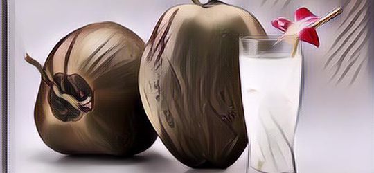 Manfaat Air Kelapa Hijau Bikin Tujuh Harimu Semakin Segar, Rajin Minum yuk!