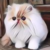 Mengenal Jenis Kucing Persia yang Populer di Indonesia