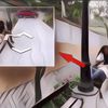 Kronologi Wanita Pergoki Pacar Selingkuh Dengan Sahabatnya Saat Telusuri Google Street View