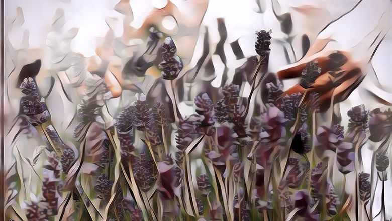 3 Tanaman yang Bisa Usir Lalat, Wajib Ada di Rumah Nih!