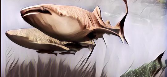 Ternyata Jasa Paus untuk Menyelamatkan Bumi dari Perubahan Iklim Sangat Besar, Apa Saja?