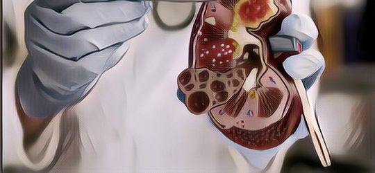 5 Kebiasaan Anak Muda yang Ternyata Bisa Berbahaya untuk Ginjal! Apa Saja?