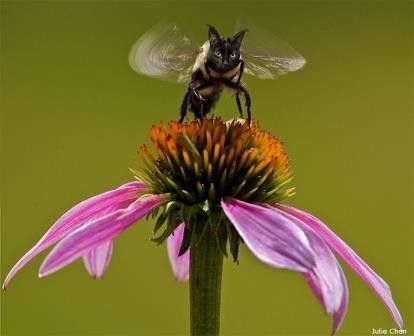 1. Siap-siap mau terbang nih gengs..