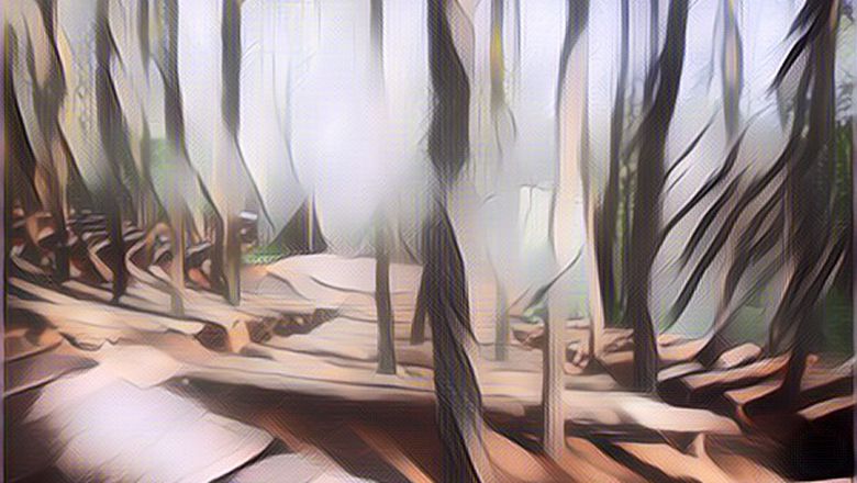 Ini Dia Rekomendasi Tempat Wisata Hits yang Murah di Jogja